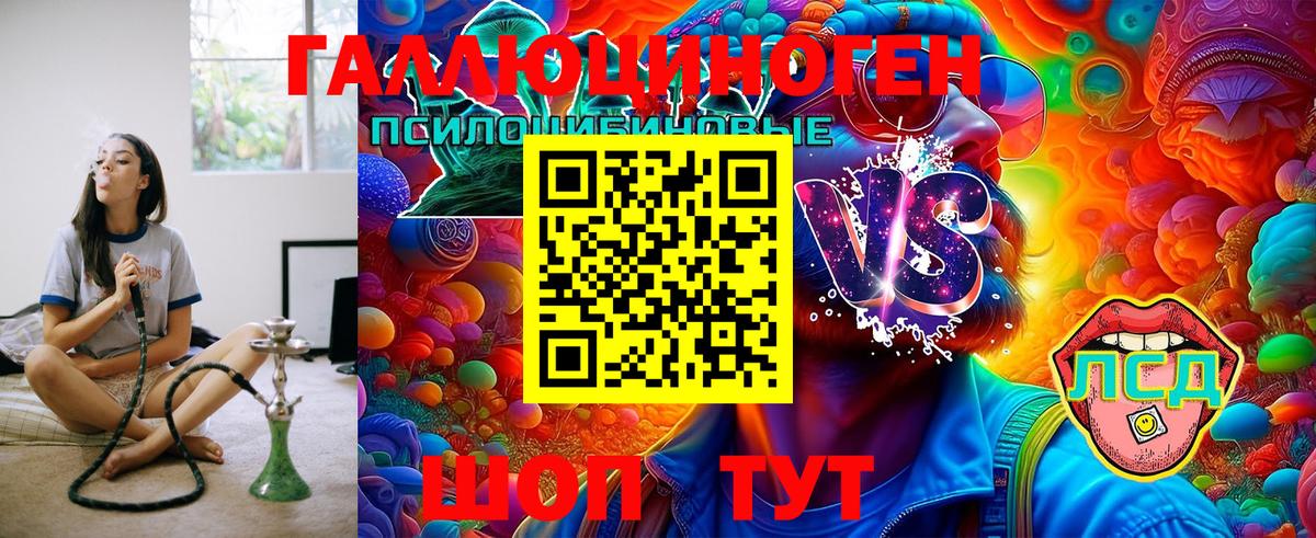 купить закладку  Вход с VPN  Избербаш  Псилоцибиновые грибы Cubensis 